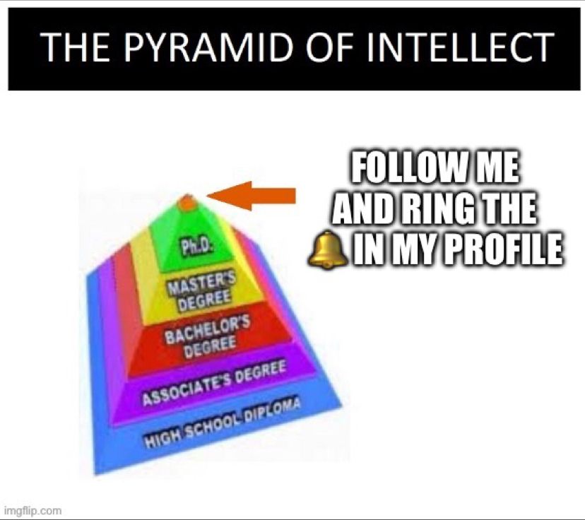 A version of The Pyramid of Intellect meme. A pyramid chart that showcases hierarchical levels of intelligence. The bottom tier of the pyramid is labeled High School Diploma, which leads up various levels of education to Ph.D. The tip of the pyramid is captioned with “Follow me and ring the 🔔on my profile.”
